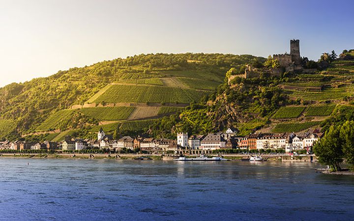 Rhine Cycle Path