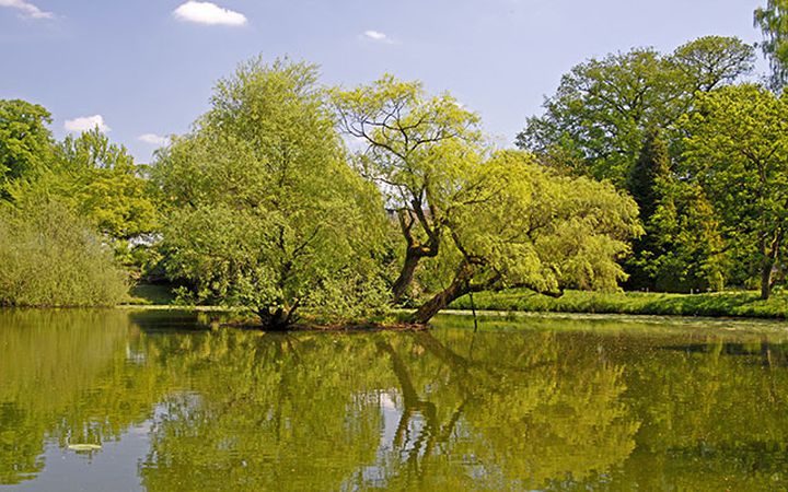 Münsterland region