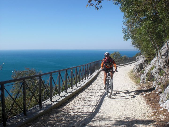 Friuli - Coast of Trieste