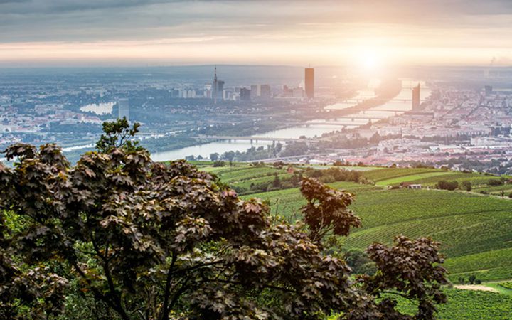 Bike routes in Vienna-Kahlenberg Bike routes in Vienna-Kahlenberg