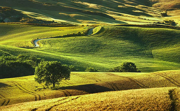 San Gimignano - Volterra