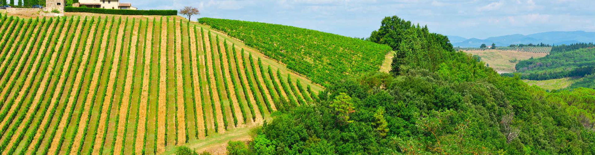 10 unglaubliche Radrouten in Weinregionen 10 unglaubliche Radrouten in Weinregionen