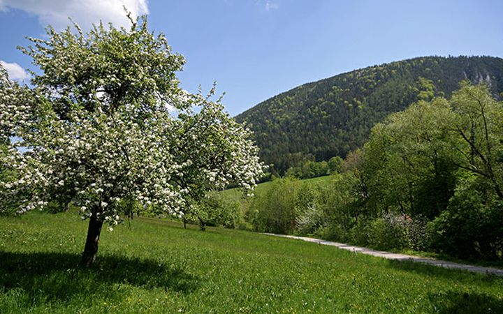 Triesting-Gölsental Radweg