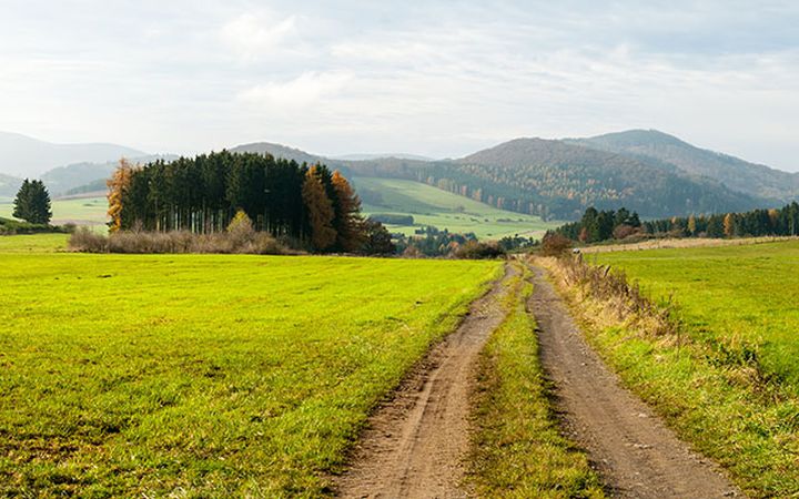 Sauerland