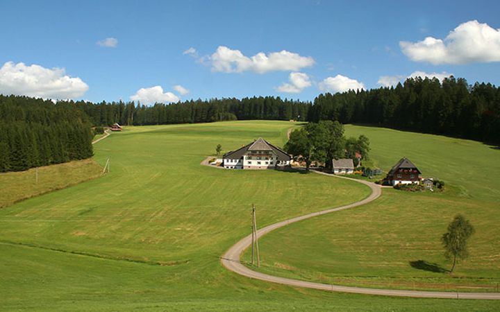 Black Forest