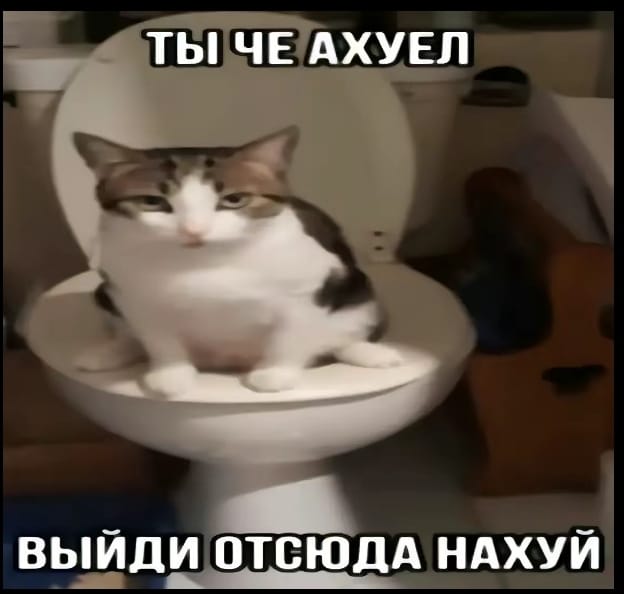 Тимур
