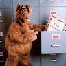 GreatALF