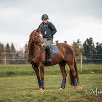 Rebekka