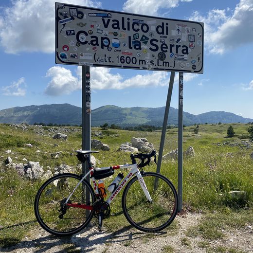 Alessandro Beccarini