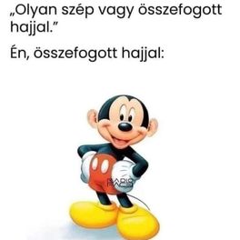 Pumamaj