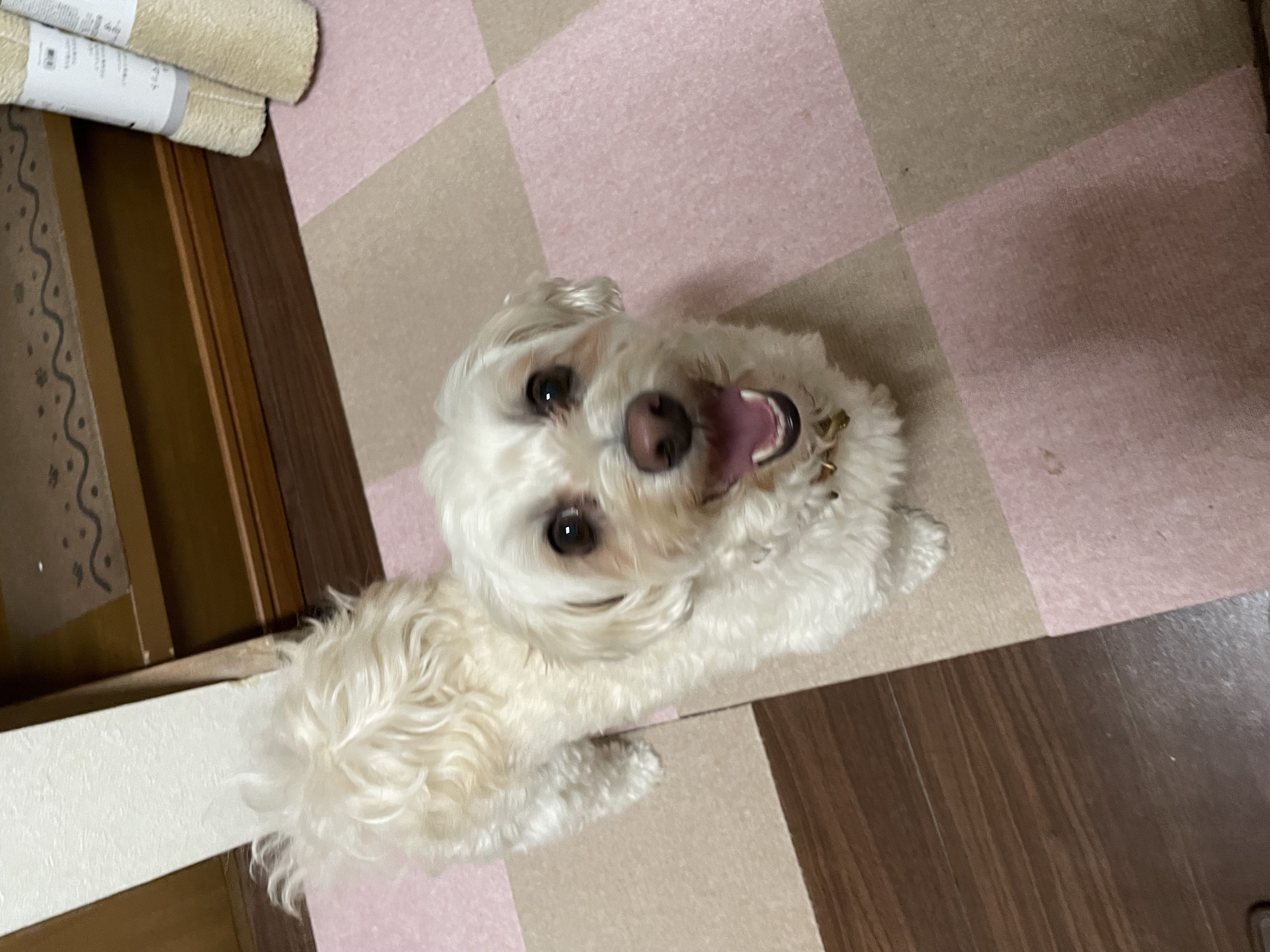 な