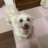 な