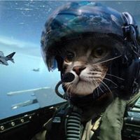 Андрей Яхновец