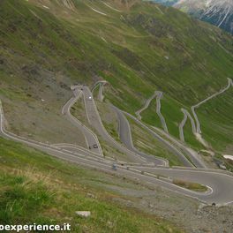 STELVIO EXPERIENCE