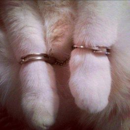 Сергей Парашютин