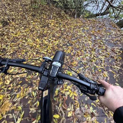 Денис Старцев