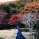 nor hafizah mohamed halip