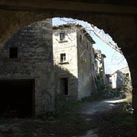 Adelchi Odoardi
