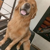 Enzo Juan