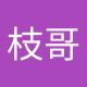 枝哥枝哥