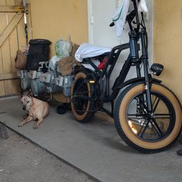 electric biker