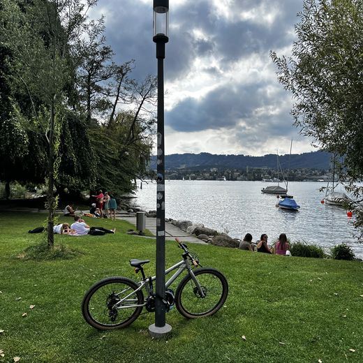 Sebastian Riefenthaler