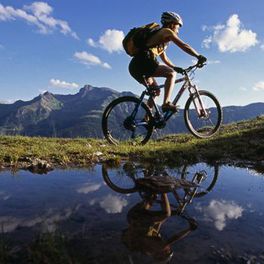 mtb-fan