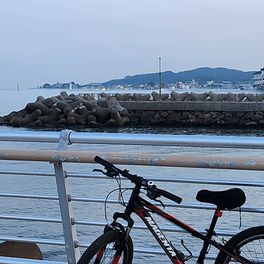 황순례