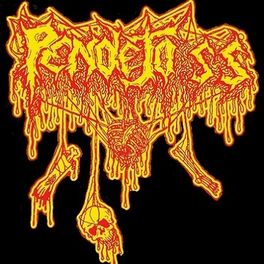 pendejo ss