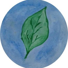 Green Impact Baia Sprie