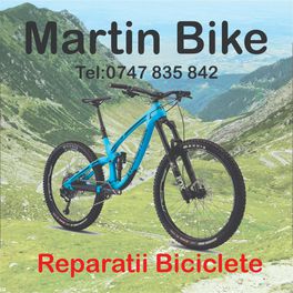Martinez Martin
