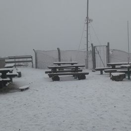 pijava gorica