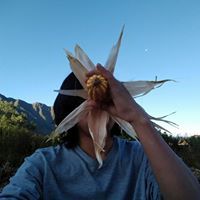 Pablo Mora Les Morató