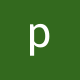 pinz0801