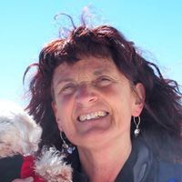 susanna pertot