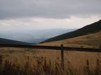 Rado