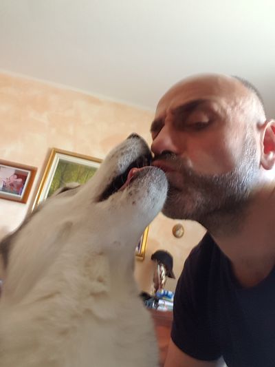 Di Raffaele di Costanzo