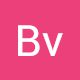 Bv Borussia