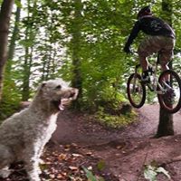 Arnt Kristian Barsten