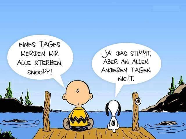 Sven Glückskeks