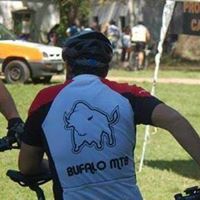 Matias Chiodi