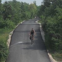 Зоран Лазаревић