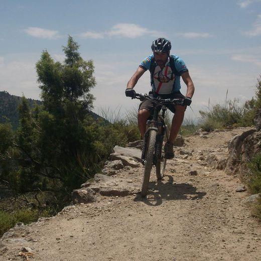 ANTONIO ROQUE SORBAS