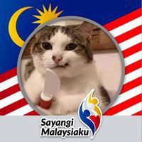 Wan Mohd Irwanhafiz