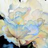Sally Arnold