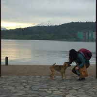 Piera De Zorzi H