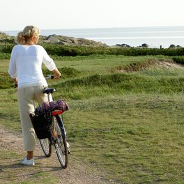 Destination Apelviken