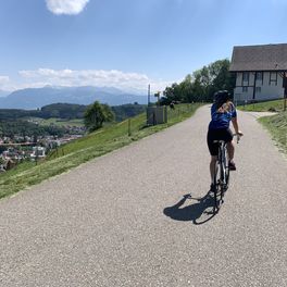 Martina Strohmeier