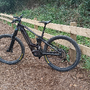 José Pedro Dinis Trigo Trigo Moutinho