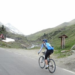 michel sarrazin